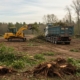 Раскорчёвка земли с утилизацией отходов
