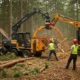 Комплексный вывоз древесных остатков