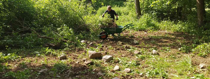 Раскорчёвка земли под огород