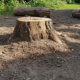 Утилизация садовых пней