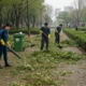 Комплексная очистка территории